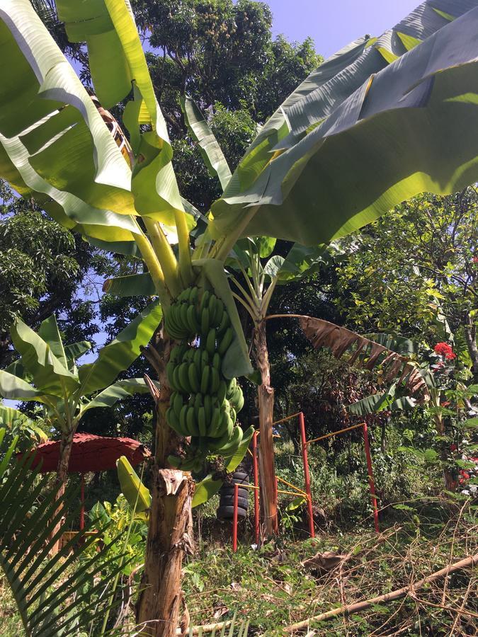 Tropical Retreat Vandrerhjem Munoz Eksteriør bilde